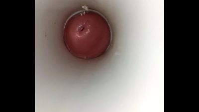 ការរួមភេទតាមទ្វារមាស