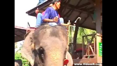 ភាគថៃ ភាគបញ្ចប់